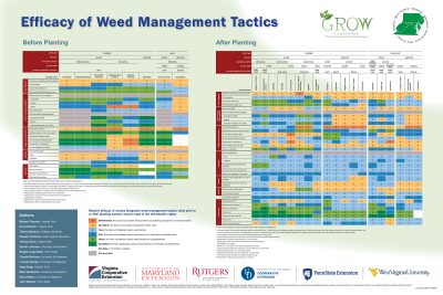 Efficacy of Weed Management Tactics
