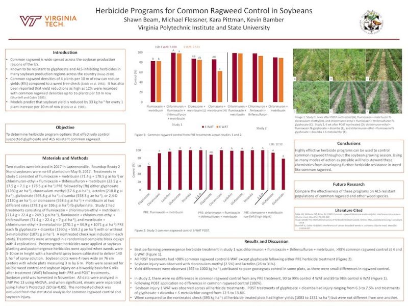Results from a study about herbicide programs for common ragweed control in soybeans.