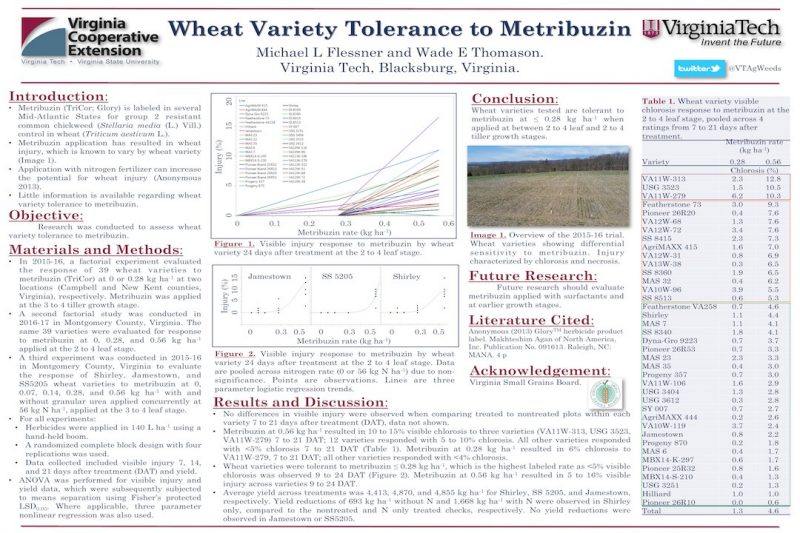 Wheat Variety Tolerance to Metribuzin